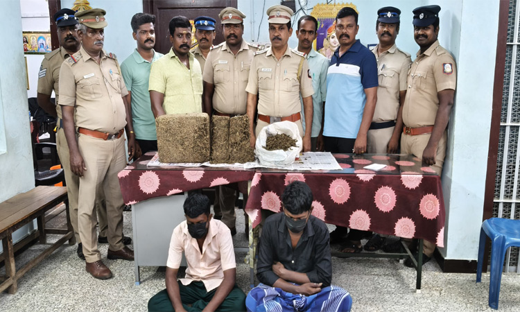 தூத்துக்குடியில் விற்பனைக்காக வைத்திருந்த 11 கிலோ கஞ்சா பறிமுதல்-  3 பேர் கைது