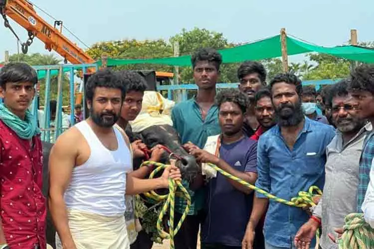 வாடிவாசல் படத்தின் அப்டேட் வெளியானது.. உற்சாகத்தில் ரசிகர்கள்