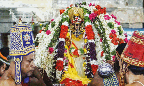 ஸ்ரீரங்கம் ரெங்கநாதர் கோவிலில் நம்பெருமாள் கோடை திருநாள் தொடக்கம் ஸ்ரீரங்கம் ரெங்கநாதர் கோவிலில் நம்பெருமாள் கோடை திருநாள் தொடக்கம்