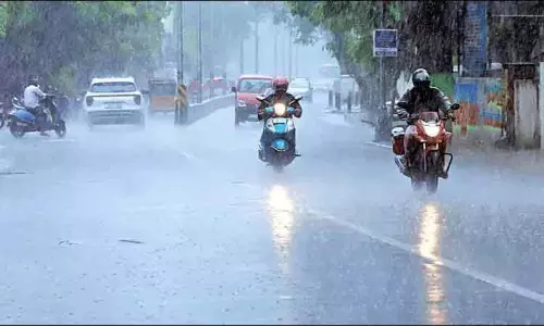 மாலை 4 மணி வரை மழைக்கு வாய்ப்புள்ள மாவட்டங்கள் மாலை 4 மணி வரை மழைக்கு வாய்ப்புள்ள மாவட்டங்கள்