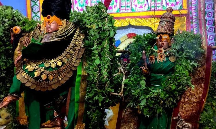 சங்கரன்கோவிலில் சித்திரை திருவிழா:  பச்சை சாத்தி பக்தர்களுக்கு காட்சியளித்த நடராஜர்