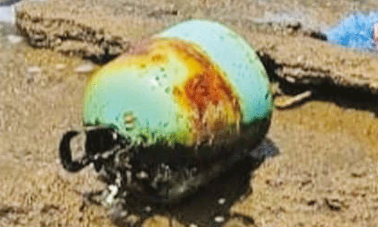 மண்டபம் கடற்கரையில் ஒதுங்கிய கியாஸ் சிலிண்டர்: போலீசார் விசாரணை