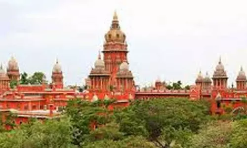 சட்டவிரோதமாக செயல்படும் இறால் பண்ணைகளை மூட நடவடிக்கை: ஐகோர்ட்டு சட்டவிரோதமாக செயல்படும் இறால் பண்ணைகளை மூட நடவடிக்கை: ஐகோர்ட்டு