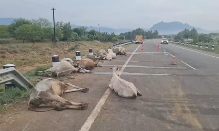 தேனி: நேற்றிரவு டி.கள்ளிப்பட்டி அருகே திண்டுக்கல்... ... இன்றைய முக்கிய செய்திகள் சில வரிகளில்...15-05-2025