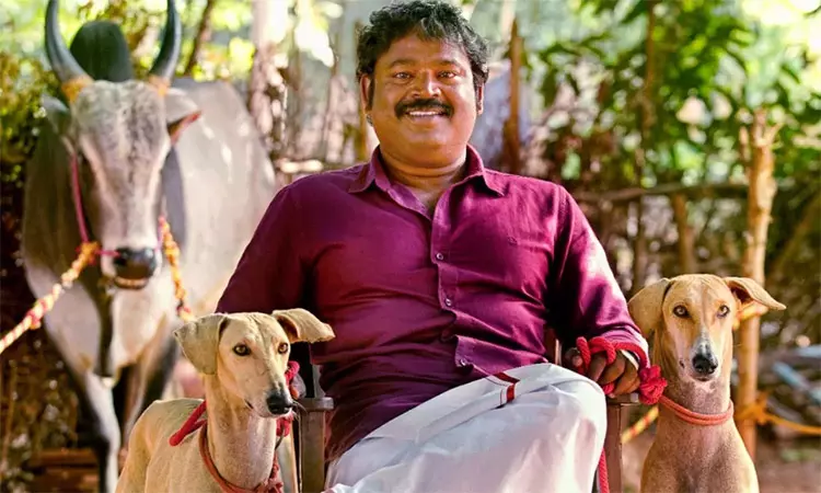 சென்னை அண்ணாநகரில் குடிபோதையில் மளிகை கடை... ... இன்றைய முக்கிய செய்திகள் சில வரிகளில்...16-05-2025