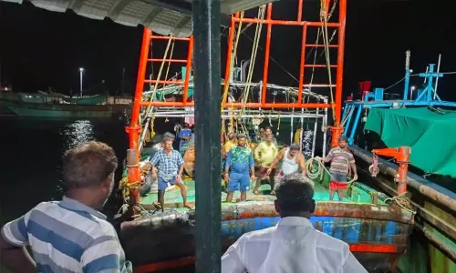 தூத்துக்குடி கடலில் மீன்பிடித்த கேரள, குமரி படகுகள் பறிமுதல், தொழில் முடக்கம்: கலெக்டர் தகவல் தூத்துக்குடி கடலில் மீன்பிடித்த கேரள, குமரி படகுகள் பறிமுதல், தொழில் முடக்கம்: கலெக்டர் தகவல்