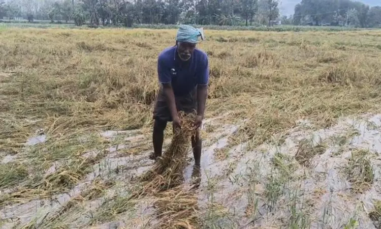 கள்ளக்குறிச்சி மாவட்டம் சங்கராபுரம் பகுதியில்... ... இன்றைய முக்கிய செய்திகள் சில வரிகளில்...19-05-2025