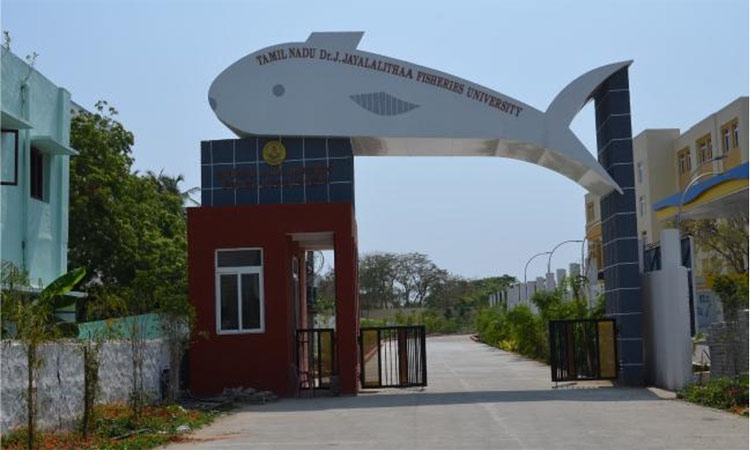 தமிழ்நாடு டாக்டர் ஜெ ஜெயலலிதா மீன்வள பல்கலைக்கழகத்தில் பல்வேறு துறைகளில் ஏராளமான படிப்புகள் - முழு விவரம்