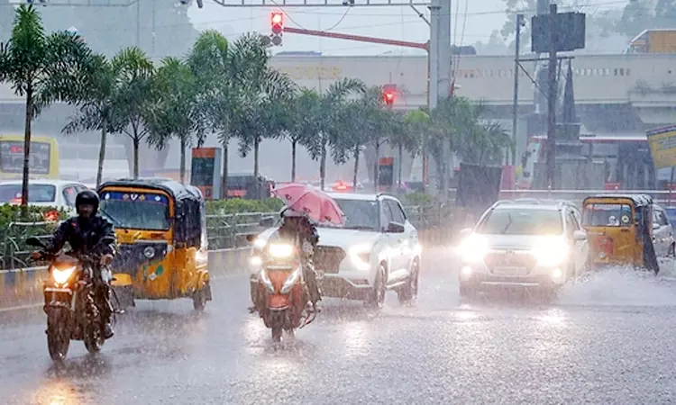 தமிழகத்தின் 17 மாவட்டங்களில் இன்று கனமழைக்கு வாய்ப்பு தமிழகத்தின் 17 மாவட்டங்களில் இன்று கனமழைக்கு வாய்ப்பு