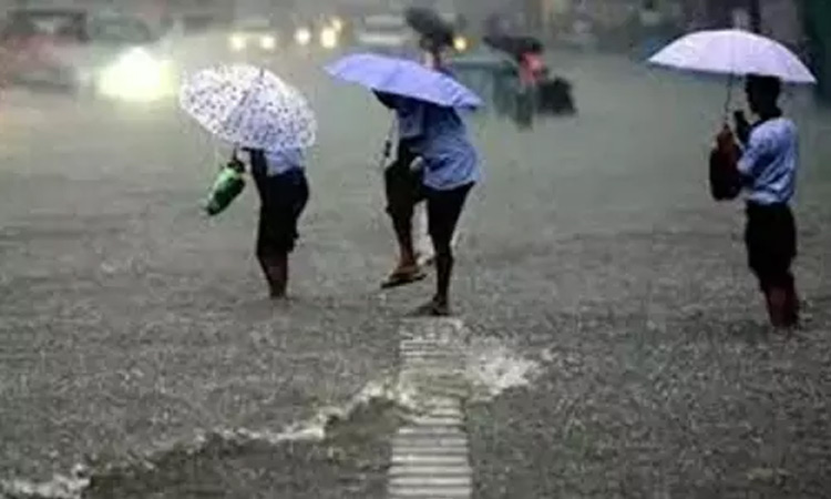 மதியம் 1 மணி வரை மழைக்கு வாய்ப்புள்ள மாவட்டங்கள் எவை..?