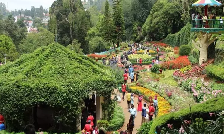 உதகை மலர் கண்காட்சி: 6 நாட்களில் 1.13 லட்சம் பேர் பார்வையிட்டனர்...!