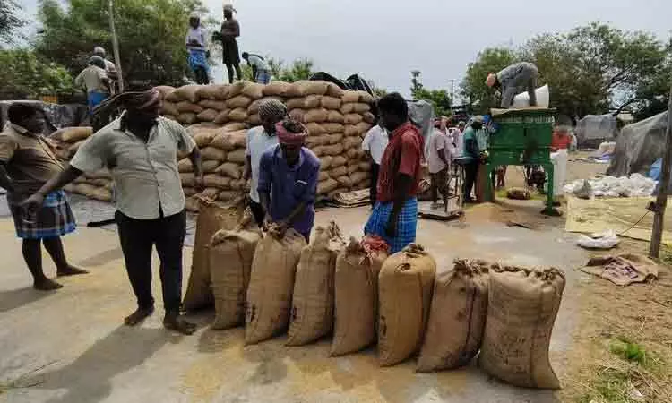 கொள்முதல் நிலையங்களில் தேக்கமடைந்த நெல் மூட்டைகள் குடோனுக்கு அனுப்பி வைப்பு கொள்முதல் நிலையங்களில் தேக்கமடைந்த நெல் மூட்டைகள் குடோனுக்கு அனுப்பி வைப்பு