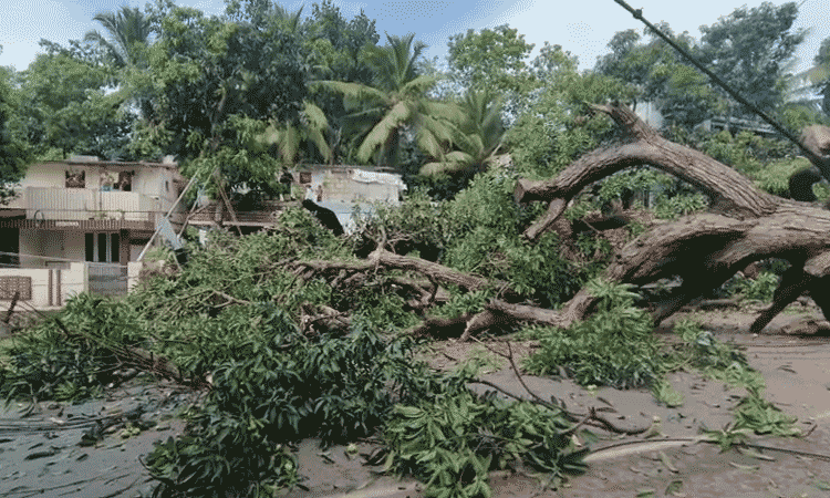 நாகர்கோவில் - திருவனந்தபுரம் தேசிய நெடுஞ்சாலையில்... ... இன்றைய முக்கிய செய்திகள் சில வரிகளில்.. 22-05-2025 நாகர்கோவில் - திருவனந்தபுரம் தேசிய நெடுஞ்சாலையில்... ... இன்றைய முக்கிய செய்திகள் சில வரிகளில்.. 22-05-2025