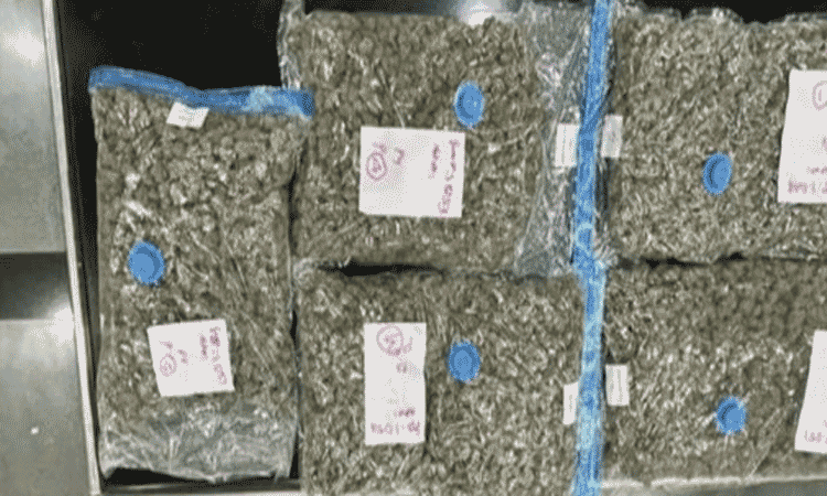 கோவை விமான நிலையத்தில் பாங்காக்கில் இருந்து... ... இன்றைய முக்கிய செய்திகள் சில வரிகளில்.. 22-05-2025 கோவை விமான நிலையத்தில் பாங்காக்கில் இருந்து... ... இன்றைய முக்கிய செய்திகள் சில வரிகளில்.. 22-05-2025