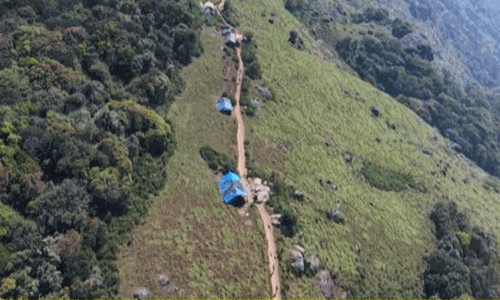 கனமழை: வெள்ளியங்கிரி மலை ஏற பக்தர்களுக்கு தற்காலிக தடை