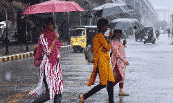 கேரளாவில் நாளை 3 மாவட்டங்களுக்கு ரெட் அலர்ட் கேரளாவில் நாளை 3 மாவட்டங்களுக்கு ரெட் அலர்ட்