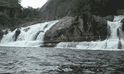 மணிமுத்தாறு அருவியில் குளிக்க தடை மணிமுத்தாறு அருவியில் குளிக்க தடை