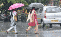 இரவு 10 மணி வரை மழைக்கு வாய்ப்புள்ள மாவட்டங்கள் இரவு 10 மணி வரை மழைக்கு வாய்ப்புள்ள மாவட்டங்கள்