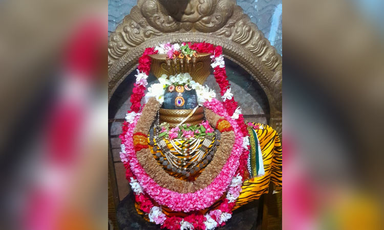 வேலாயுதம்பாளையம் பகுதி சிவன் கோவில்களில் சிவராத்திரி சிறப்பு வழிபாடு