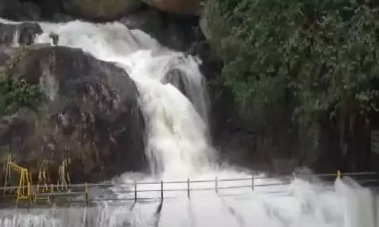 மணிமுத்தாறு அருவியில் குளிக்க தடை