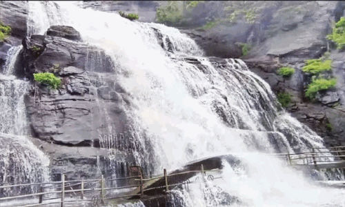 குற்றால அருவிகளில் குளிக்க மீண்டும் தடை