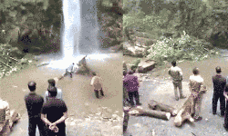 அருவியில் குளித்த 2 பேர் மரக்கிளை விழுந்து உயிரிழப்பு அருவியில் குளித்த 2 பேர் மரக்கிளை விழுந்து உயிரிழப்பு