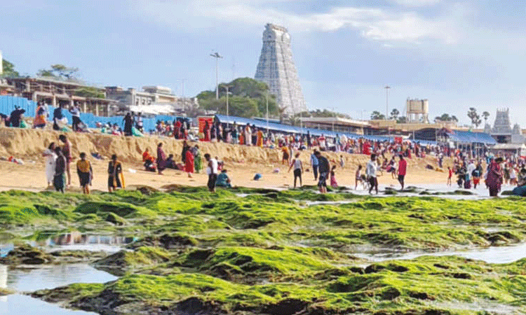 திருச்செந்தூரில் திடீரென உள்வாங்கிய கடல்