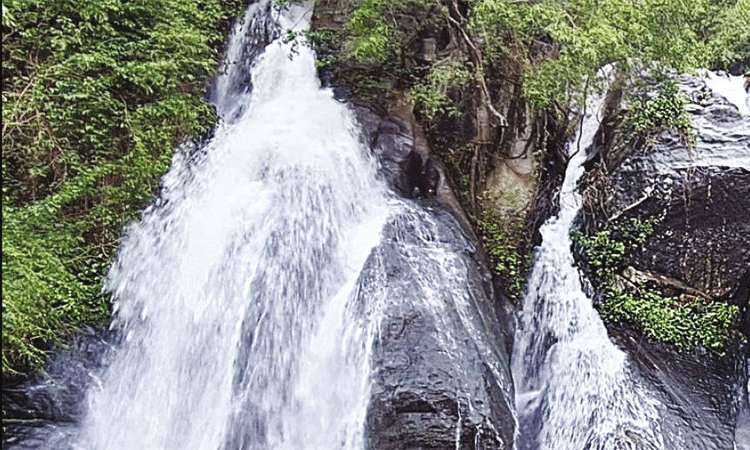 குற்றால அருவிகளில் வெள்ளப்பெருக்கு: சுற்றுலா பயணிகளுக்கு 3வது நாளாக தடை குற்றால அருவிகளில் வெள்ளப்பெருக்கு: சுற்றுலா பயணிகளுக்கு 3வது நாளாக தடை