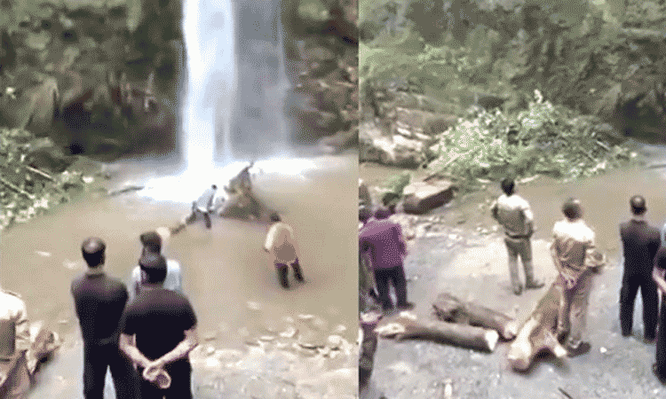 அருவியில் குளித்த 2 பேர் மரக்கிளை விழுந்து உயிரிழப்பு