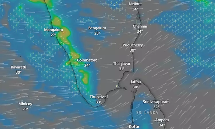 கோவை, நீலகிரியில் இன்றும் அதி கனமழைக்கு வாய்ப்பு - ரெட் அலர்ட் விடுத்த வானிலை மையம் கோவை, நீலகிரியில் இன்றும் அதி கனமழைக்கு வாய்ப்பு - ரெட் அலர்ட் விடுத்த வானிலை மையம்