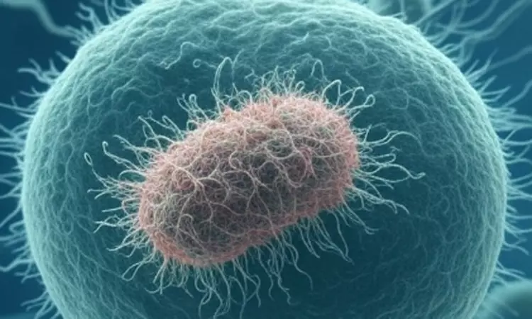 சூடானில் காலரா நோய் பாதிப்பு : ஒரே வாரத்தில் 170 பேர் பலி