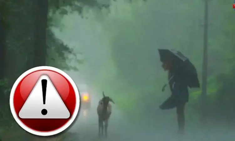 மே 29,30ல் கோவை, நீலகிரிக்கு ரெட் அலர்ட் மே 29,30ல் கோவை, நீலகிரிக்கு ரெட் அலர்ட்