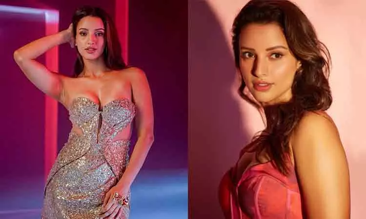 ஸ்பிரிட் படத்தில் நடிக்க திரிப்தி டிம்ரிக்கு இத்தனை கோடி சம்பளமா?