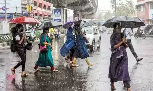 8 மாவட்டங்களில் காலை 10 மணி வரை மழைக்கு வாய்ப்பு 8 மாவட்டங்களில் காலை 10 மணி வரை மழைக்கு வாய்ப்பு