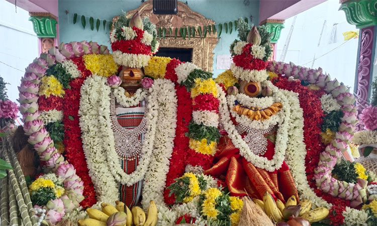 வருஷாபிஷேகம்: சிறப்பு அலங்காரத்தில் அருள்பாலித்த நடராஜர்