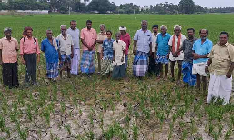 முசிறி வடகரை பள்ளவாய்க்காலில் விவசாய பாசனத்துக்கு தண்ணீர் திறப்பு