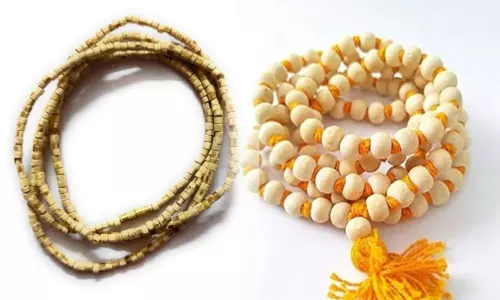 துளசி மாலை அணியும் முன் இதை செய்யுங்க..! துளசி மாலை அணியும் முன் இதை செய்யுங்க..!