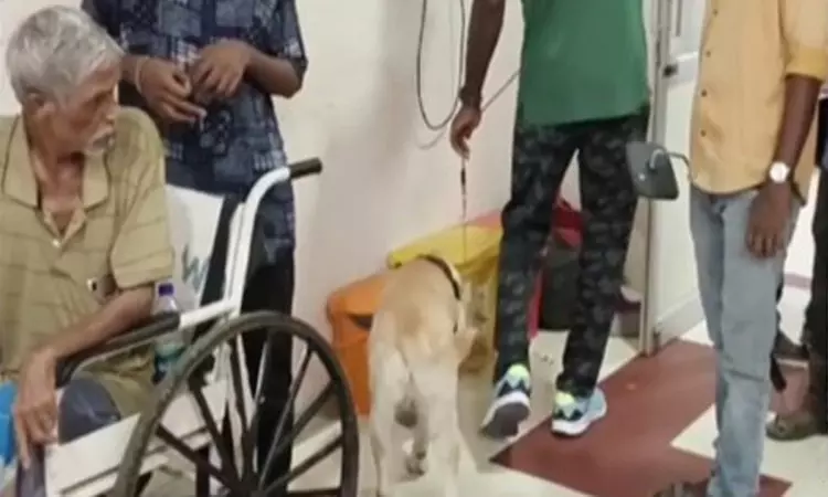 புதுச்சேரி ஜிப்மர் மருத்துவமனைக்கு 4-வது முறையாக... ... இன்றைய முக்கிய செய்திகள் சில வரிகளில்.. 31-05-2025