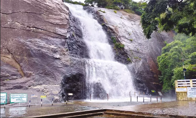 குற்றாலம் அருவிகளில் குளிக்க அனுமதி  குற்றாலம்... ... இன்றைய முக்கிய செய்திகள் சில வரிகளில்.. 01-06-2025