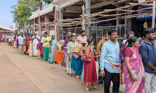 வார விடுமுறை: பழனி முருகன் கோவிலில் குவிந்த பக்தர்கள்