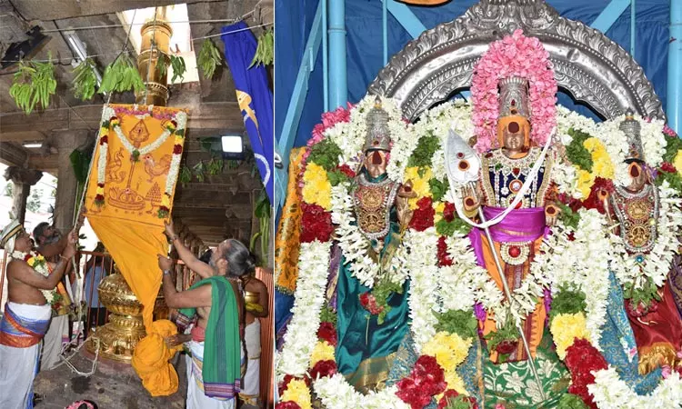 பழனி முருகன் கோவிலில் வைகாசி விசாகத் திருவிழா கொடியேற்றம்