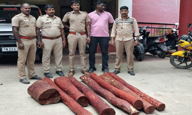 திருப்பத்தூர்: ஆந்திராவில் இருந்து காரில் செம்மரக்கட்டைகள் கடத்திய வாலிபர் கைது