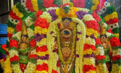 கள்ளழகர் கோவிலில் வசந்த உற்சவ விழா தொடங்கியது