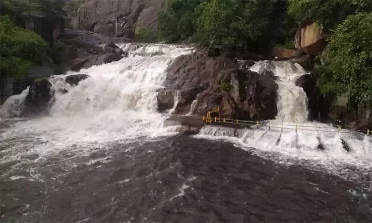 மணிமுத்தாறு அருவியில் குளிக்க அனுமதி