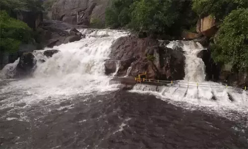 மணிமுத்தாறு அருவியில் குளிக்க அனுமதி