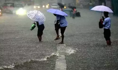 அடுத்த 3 மணி நேரத்தில் 14 மாவட்டங்களில் மழைக்கு வாய்ப்பு அடுத்த 3 மணி நேரத்தில் 14 மாவட்டங்களில் மழைக்கு வாய்ப்பு