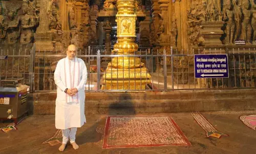 மதுரை மீனாட்சி அம்மன் கோவிலில் நாட்டின் முன்னேற்றத்திற்கு பிரார்த்தனை செய்தேன் -  அமித்ஷா