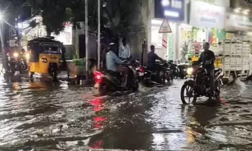 13 மாவட்டங்களில் இரவு 9 மணி வரை மழைக்கு வாய்ப்பு 13 மாவட்டங்களில் இரவு 9 மணி வரை மழைக்கு வாய்ப்பு