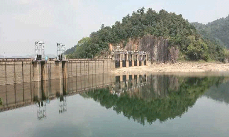 நெல்லை: கொடுமுடியாறு நீர்த்தேக்கத்தில் இருந்து நாளை தண்ணீர் திறப்பு நெல்லை: கொடுமுடியாறு நீர்த்தேக்கத்தில் இருந்து நாளை தண்ணீர் திறப்பு