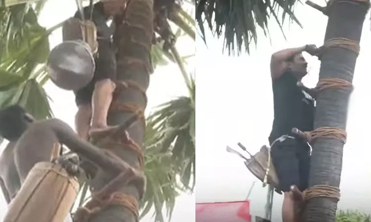 கள் இறக்கும் போராட்டம்.. பனை மரம் ஏறிய சீமான் ... ... இன்றைய முக்கிய செய்திகள்.. சில வரிகளில்.. 15-06-2025 கள் இறக்கும் போராட்டம்.. பனை மரம் ஏறிய சீமான் ... ... இன்றைய முக்கிய செய்திகள்.. சில வரிகளில்.. 15-06-2025